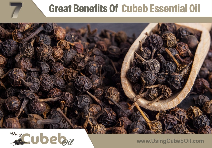  what is cubeb oil good for